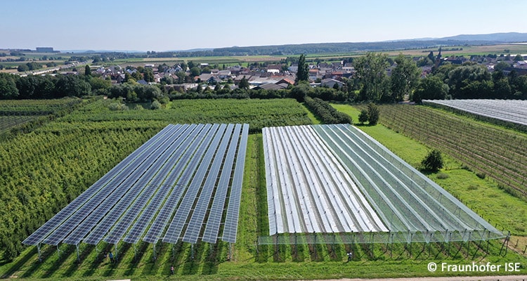 Agri-Photovoltaik: Trend oder Traum?